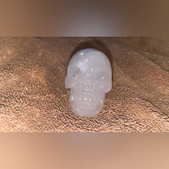 Skull party - Picture 10 of 11